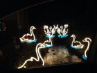 @beckiePA 2h  Looking as festive as ever @angarrackinfo - well done - another impressive display! #angarrackxmasl